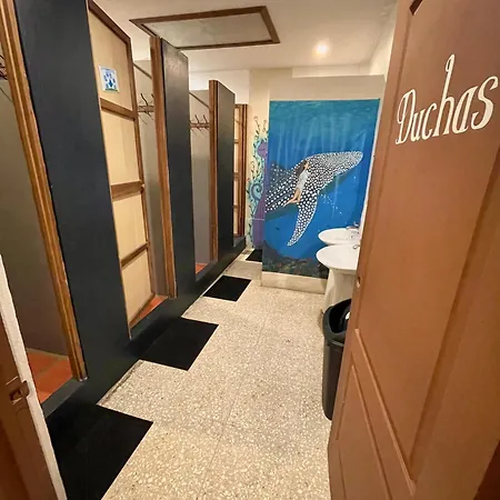 Stray Cat Hostel-3
